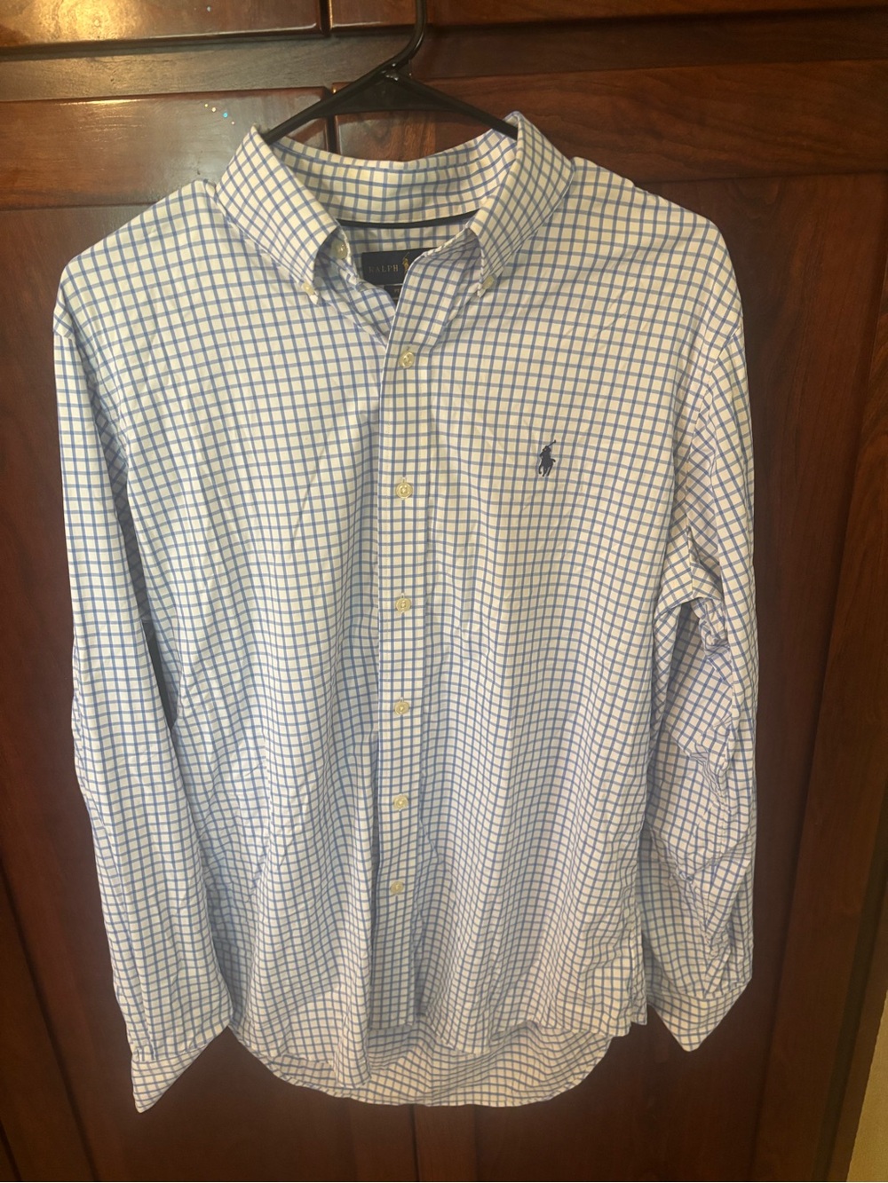 Polo by Ralph Lauren Blue & White Check Button-Down Shirt